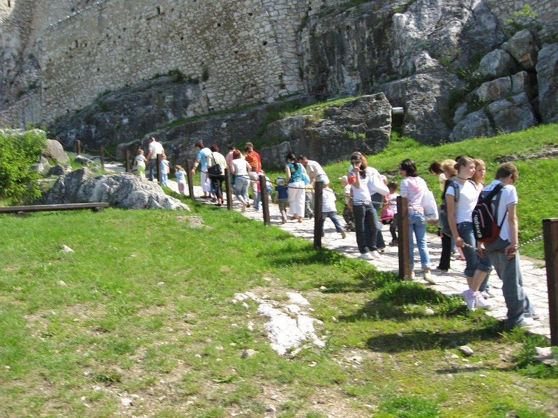 Akcie v MS   65.jpg